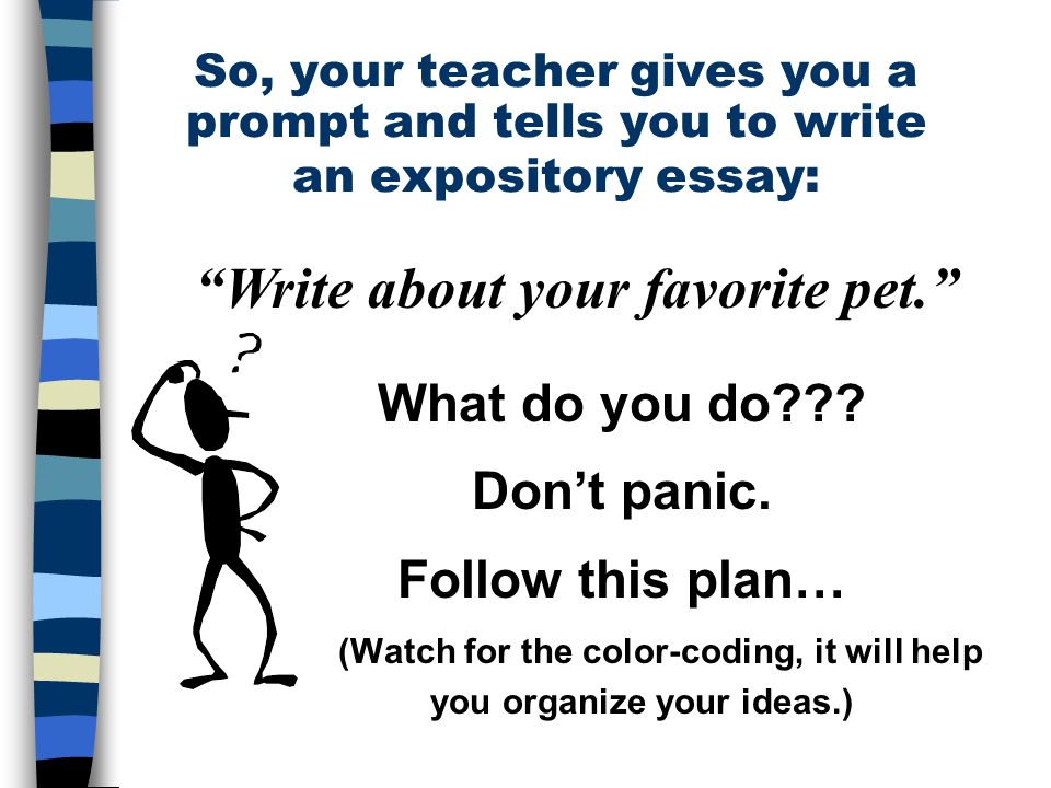 Expository essay pets